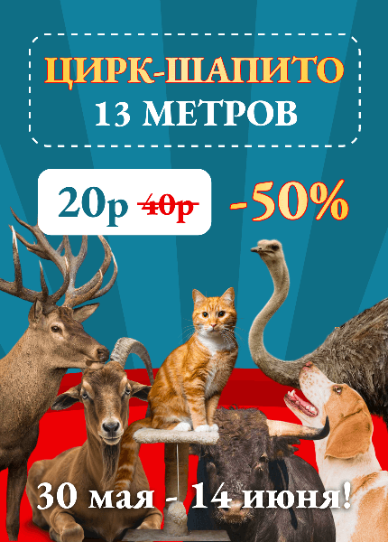 13 метров