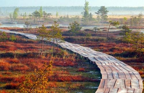 Туры "Симфония Браславщины: болото Ельня и озерный край", в заказник "Ельня" и водопад на реке Вята от 120р/1 день от "Travellab"